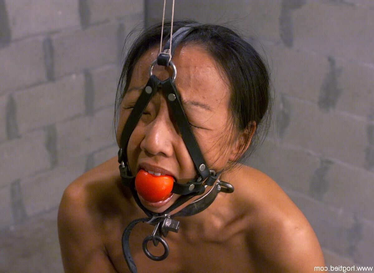 Kelana Tani         Bondage Model