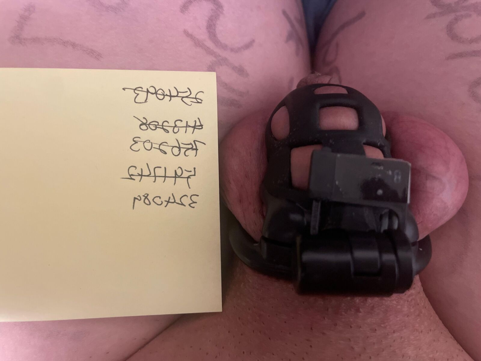 chastity adventure with KeyHolderMilf