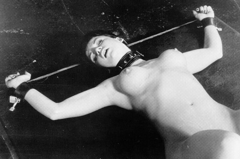 VINTAGE BONDAGE BABES # SEKAFANXXX COLLECTION