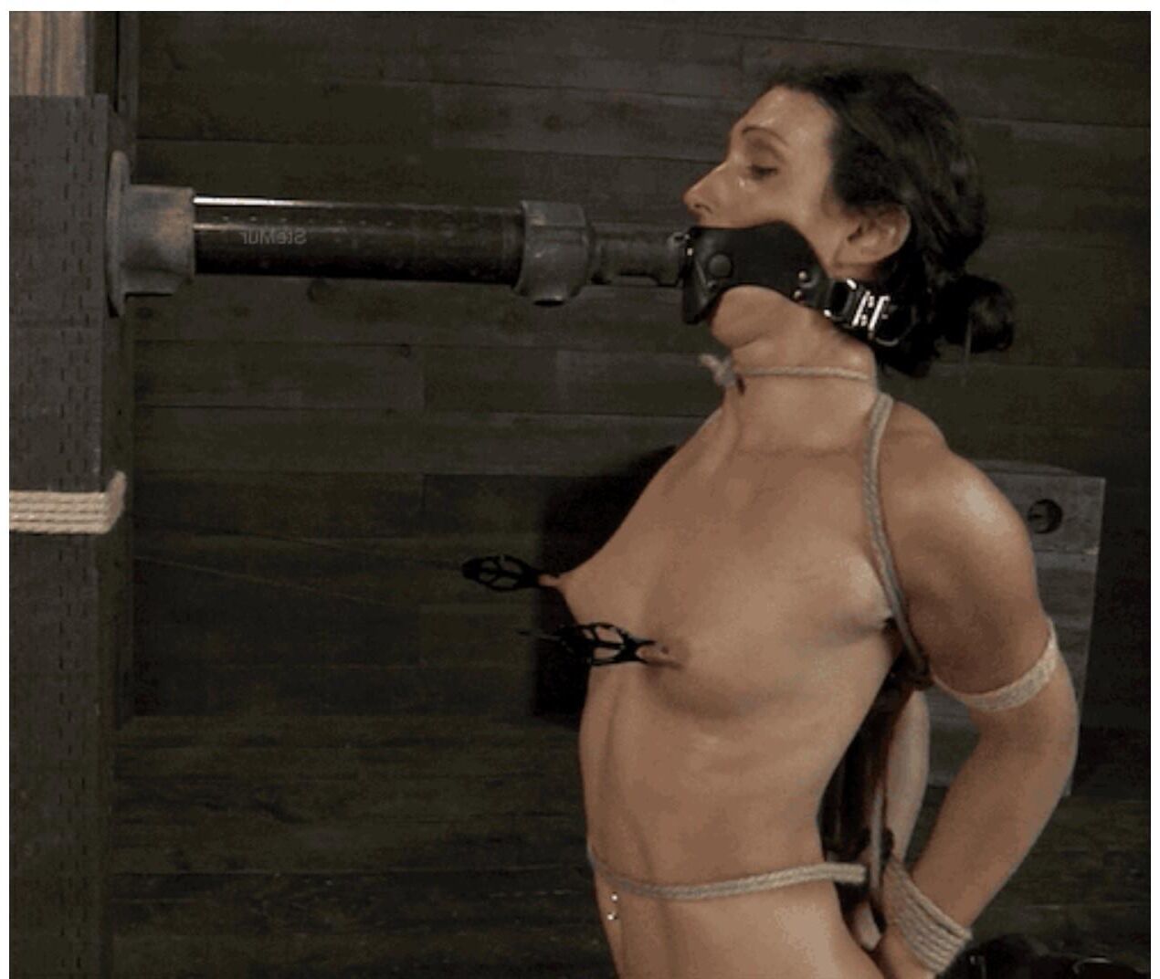 BDSM pics 