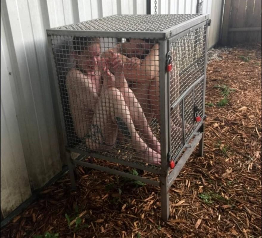 Caged Women off the Net