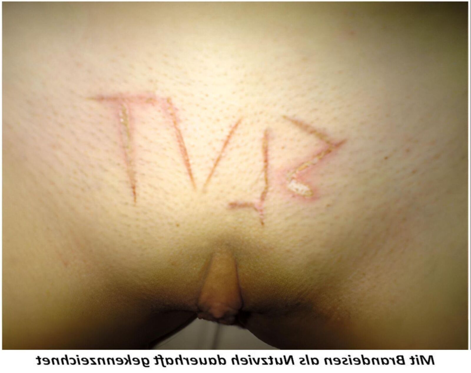 Als Nutzvieh dauerhaft GEKENNZEICHNET Branding