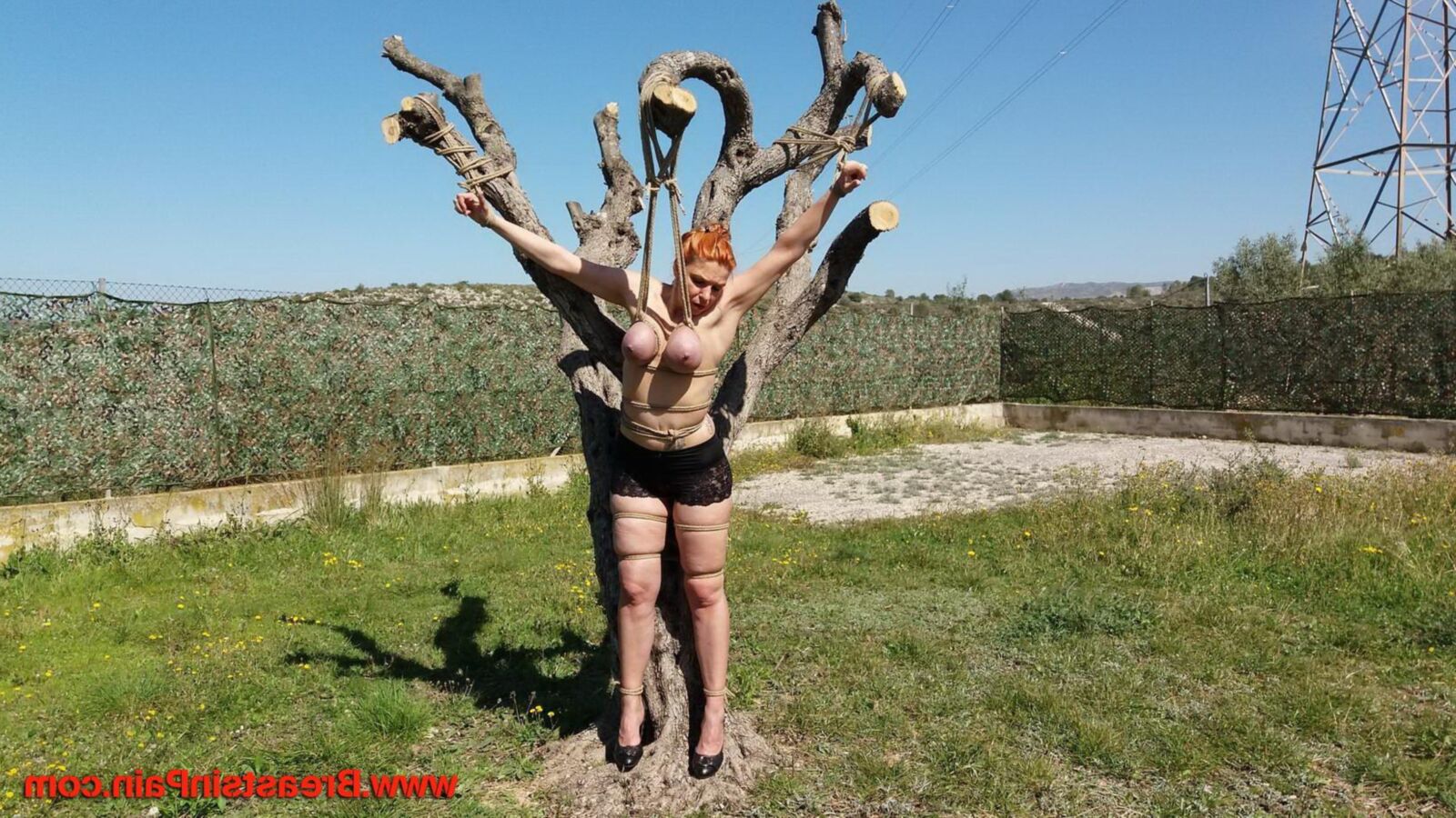 Mama de dor
