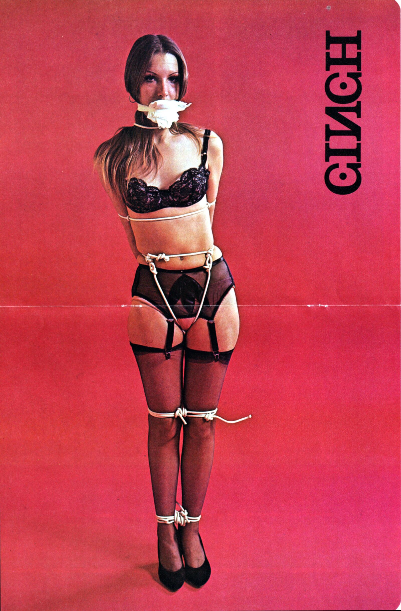 Vintage Bondage Magazine Cinch, частично