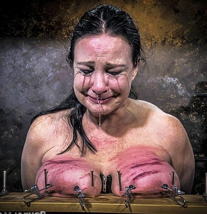 Tortured tits