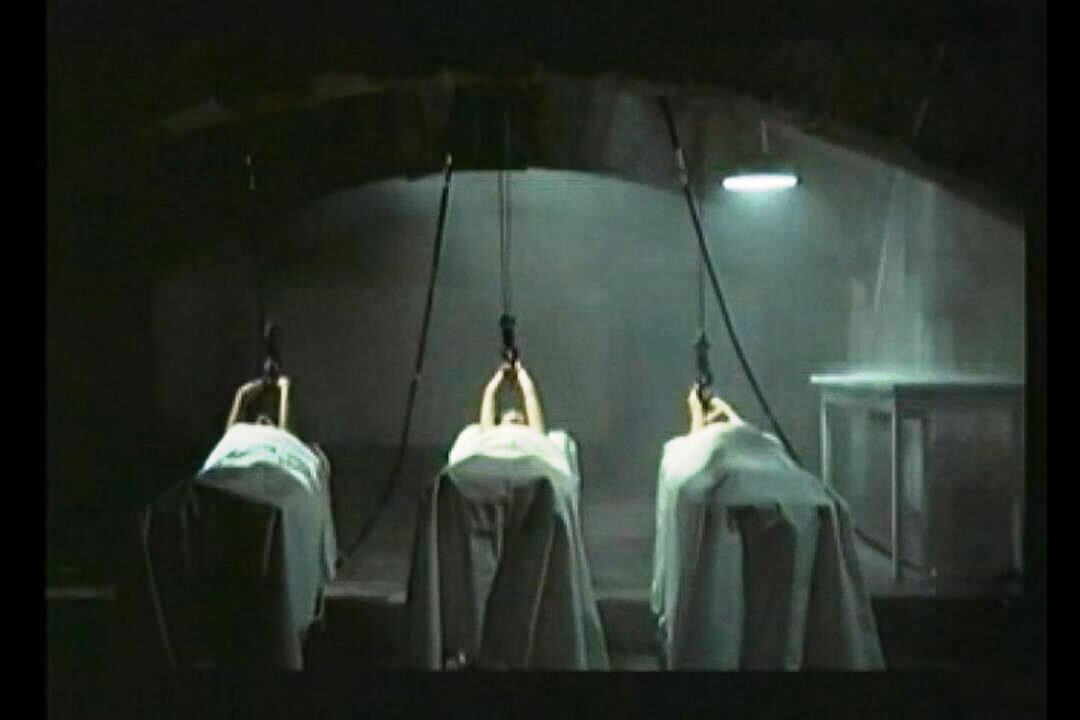 Stills 