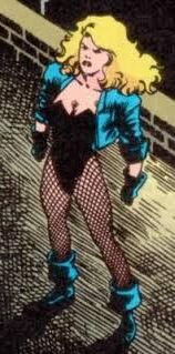 Schwarzer Kanarienmann alias Dinah Drake