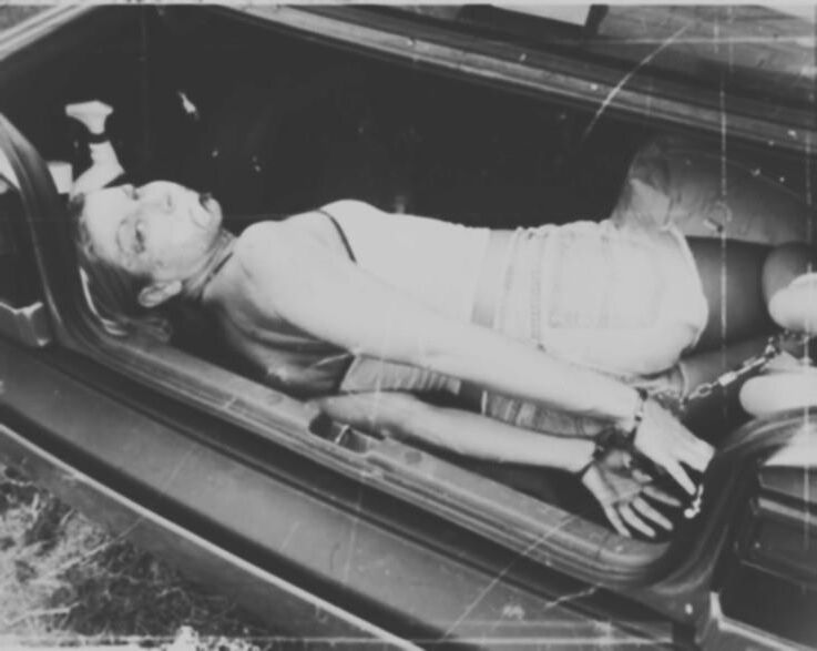 Abducted files 
