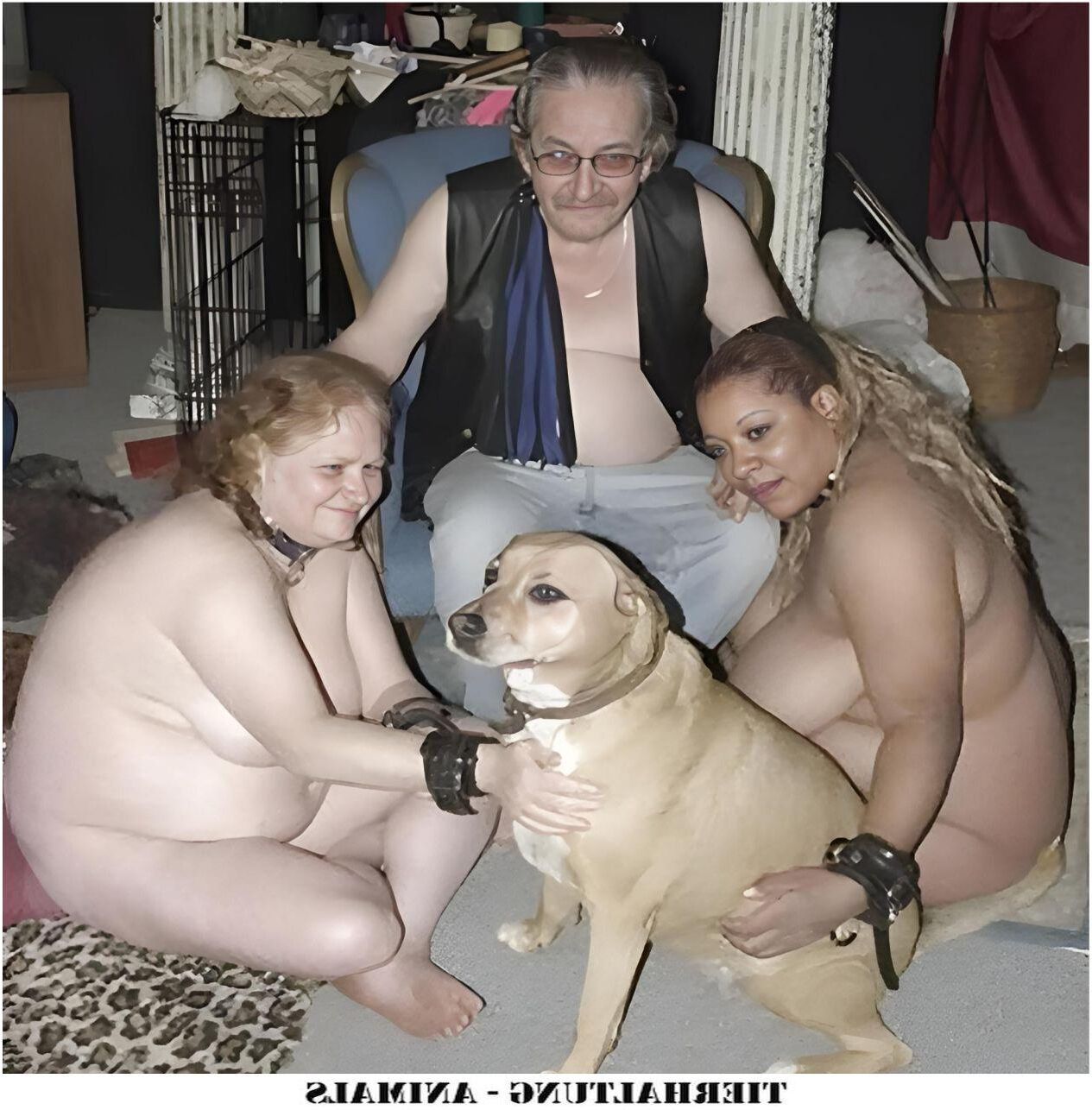 ティアハルトン動物IV