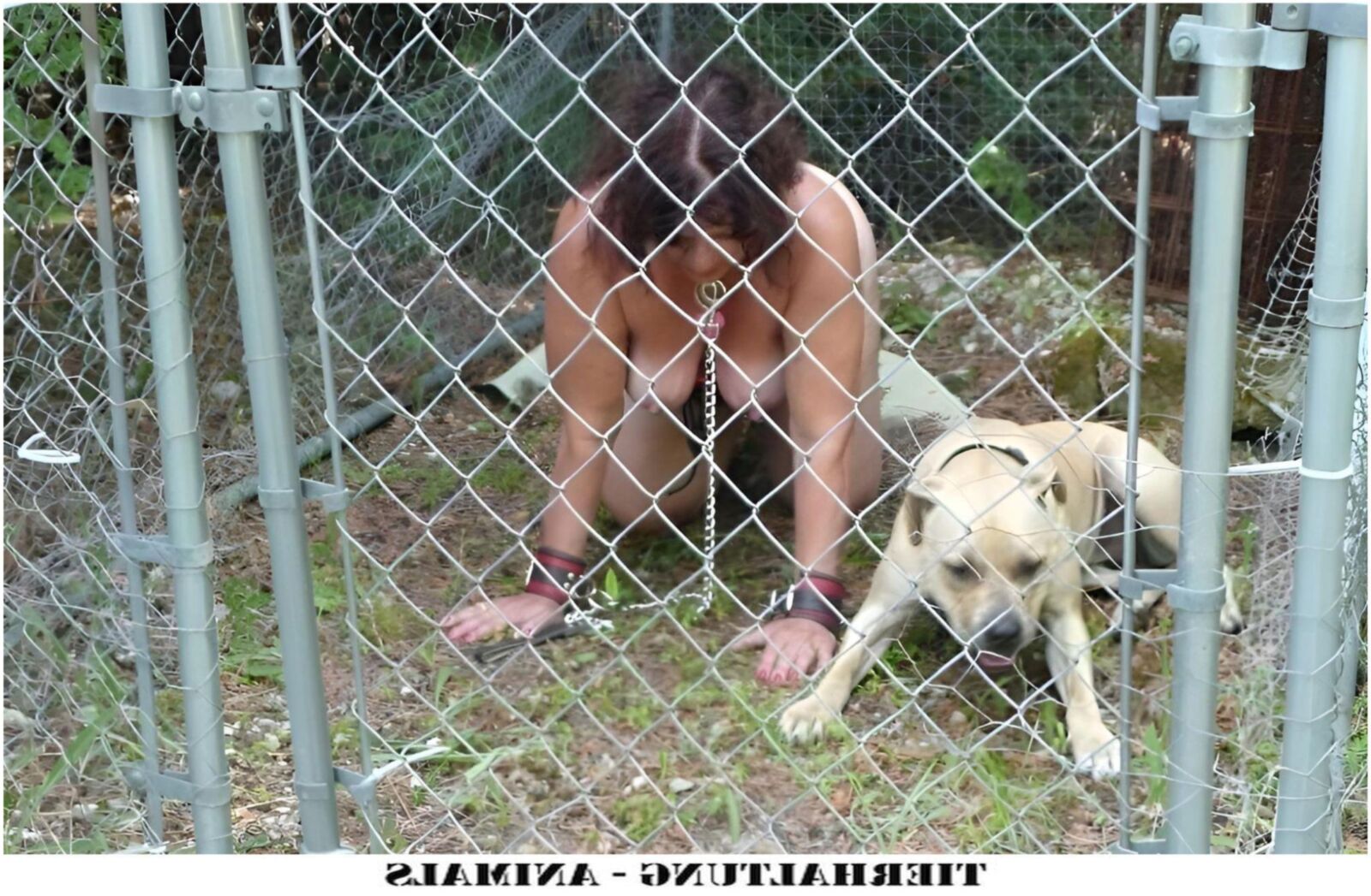 ティアハルトゥン動物III