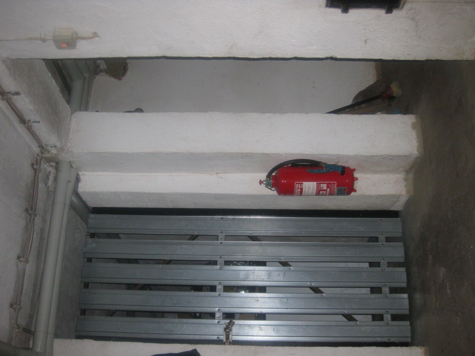 Voie chauve vers les ungés