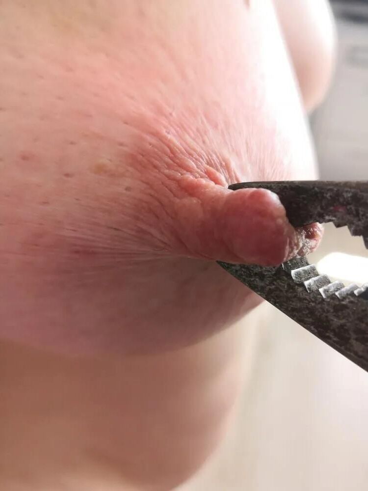 Toys for Tits III: Pliers