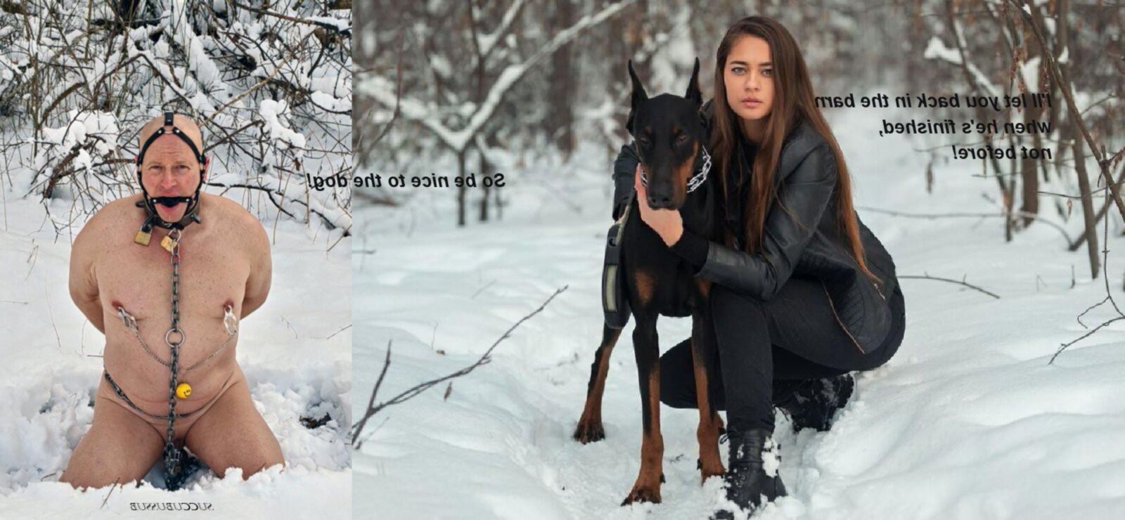Bête de chien Pet Dobermann