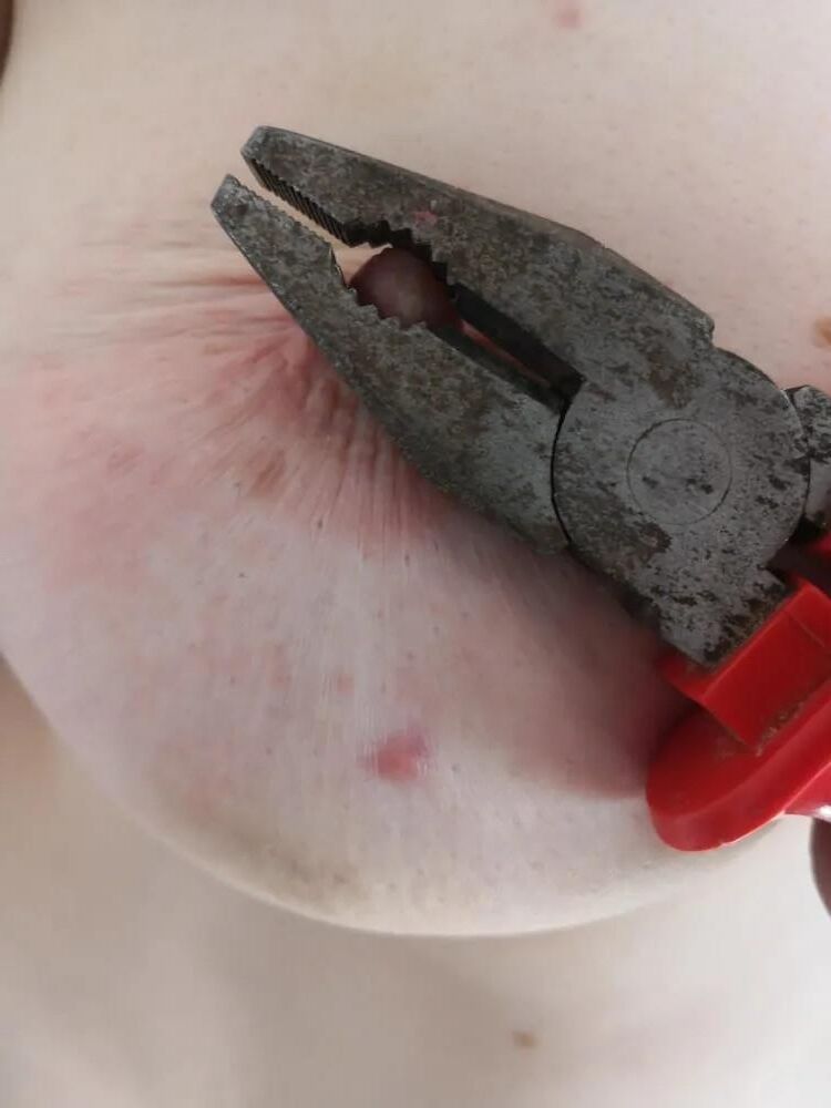 Toys for Tits III: Pliers
