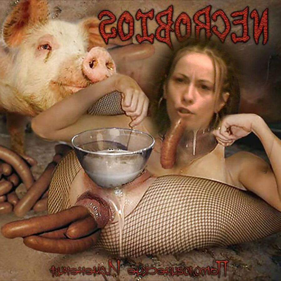 Webslut d'esclaves