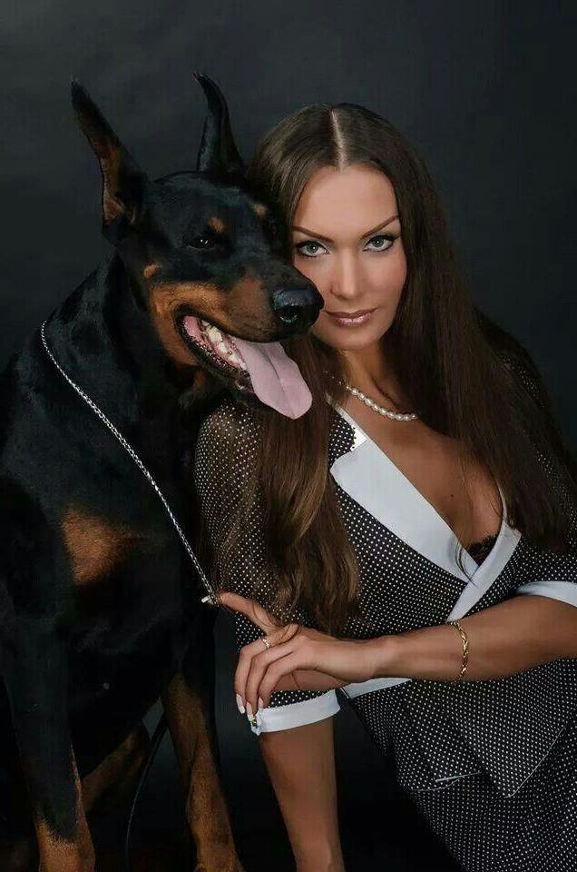 Bête de chien Pet Dobermann