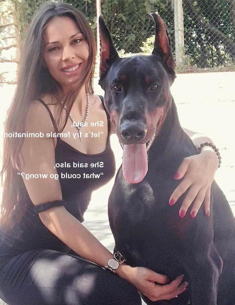 Bête de chien Pet Dobermann