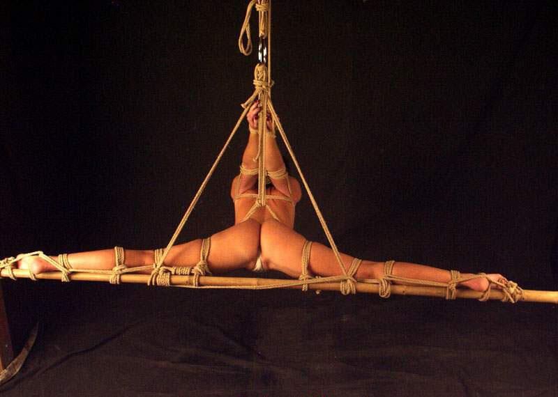 Positions de servitude Nouveaux ajouts Vol. 