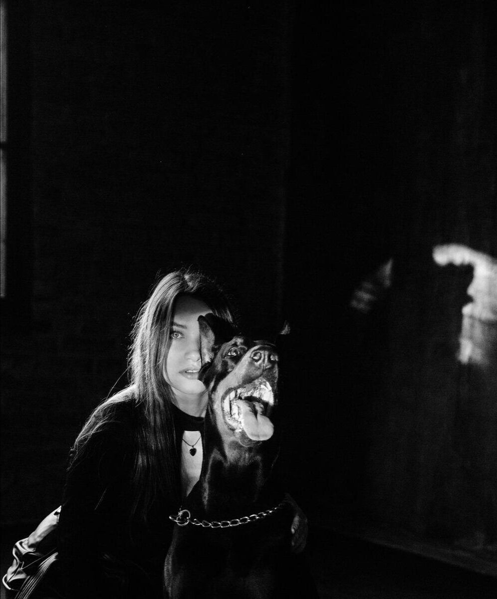Bête de chien Pet Dobermann