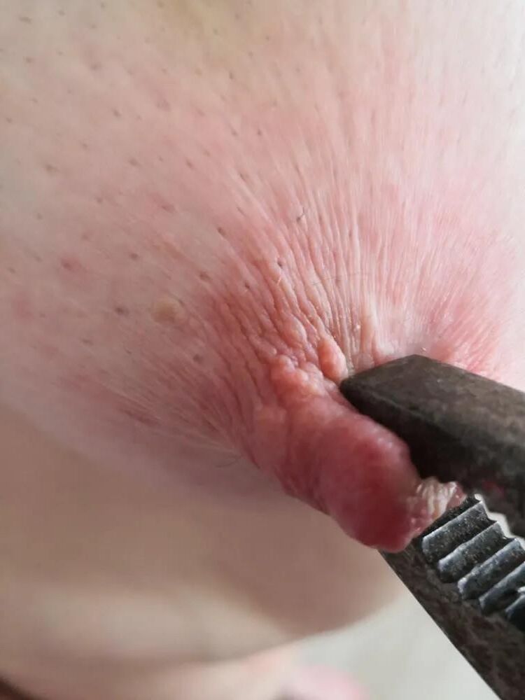 Toys for Tits III: Pliers