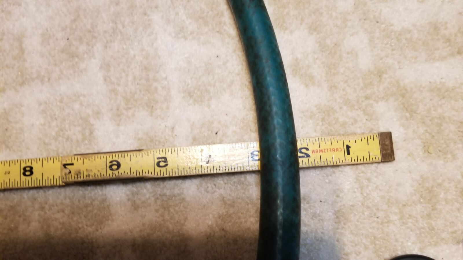 A good old fashioned garden hose whipping