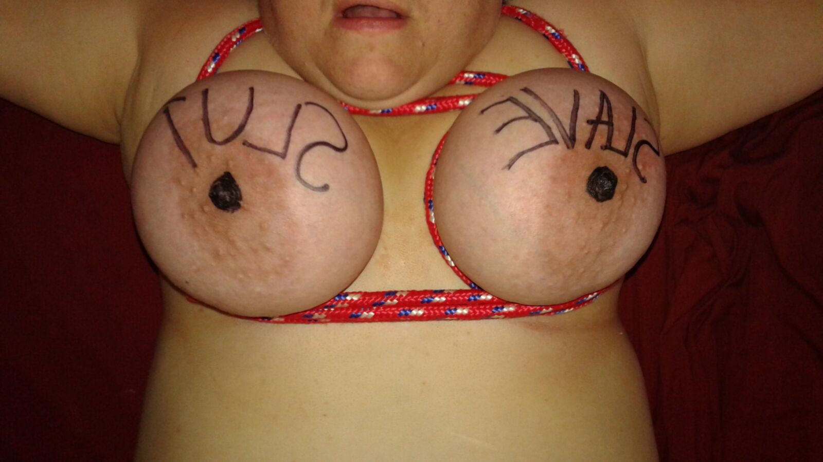 Tied and Abused Tits