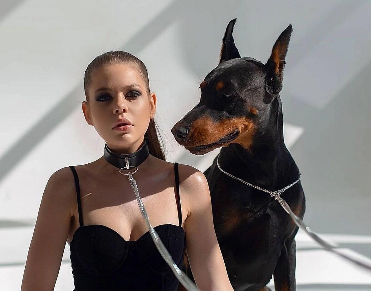 Trained pets 