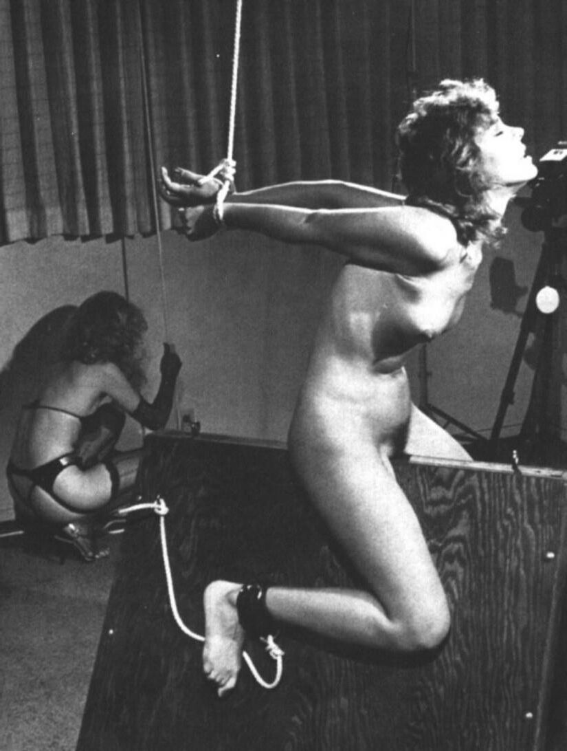 Michelle Bauer Bondage Model Vintage