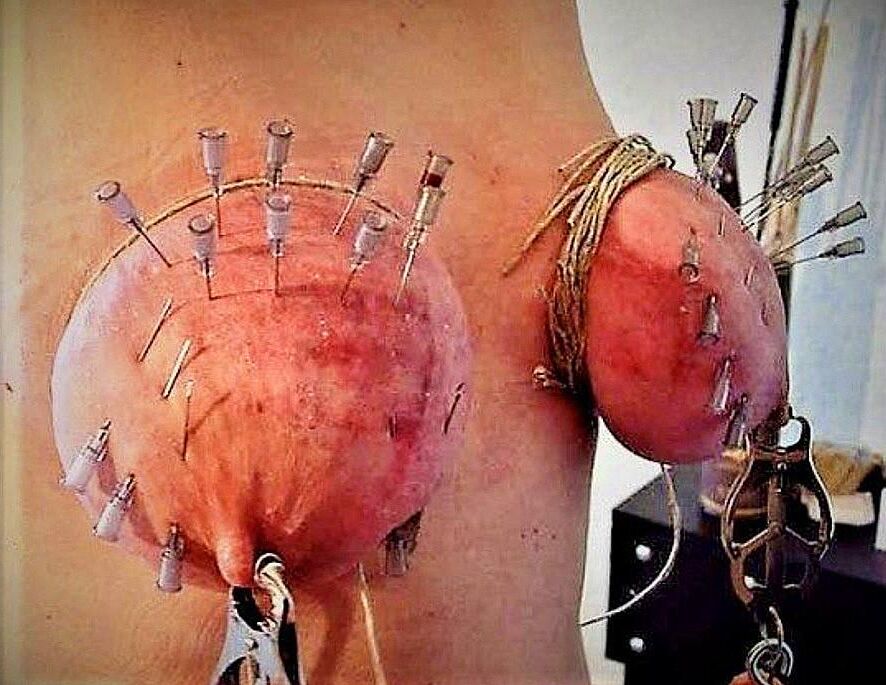 . What female udders are for Attention, not for wimps !