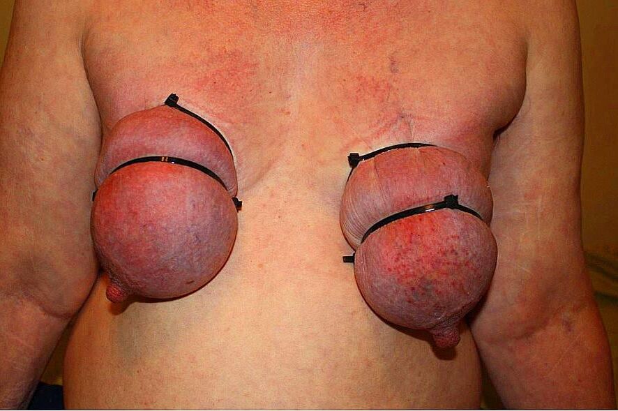 . What female udders are for Attention, not for wimps !