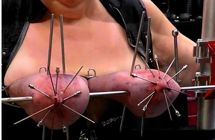 . What female udders are for Attention, not for wimps !