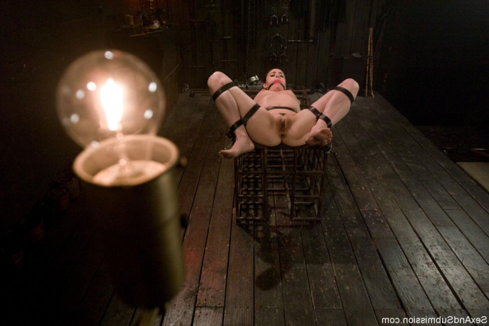 Modelo de Bondage Mina Lee