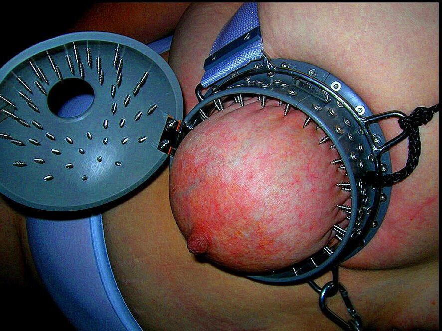 . What female udders are for Attention, not for wimps !