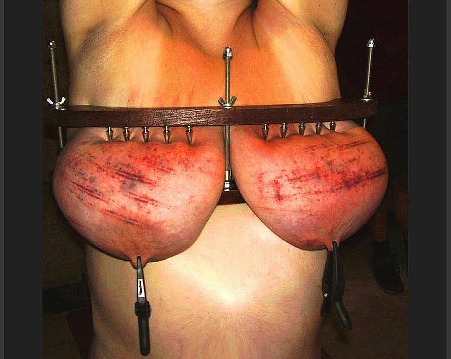 . What female udders are for Attention, not for wimps !