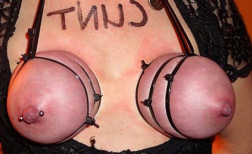 . What female udders are for Attention, not for wimps !