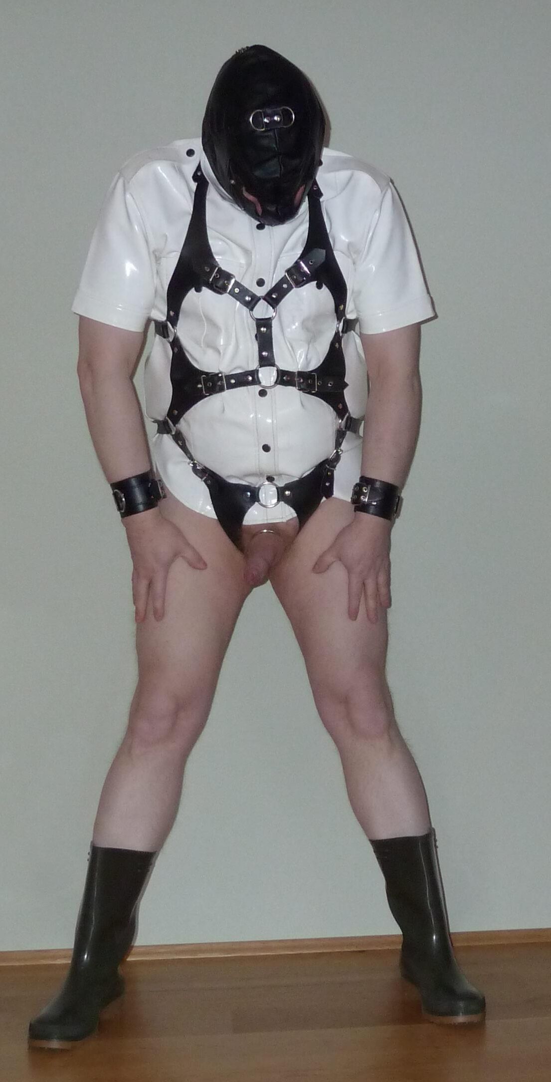 Harness and PVC slave