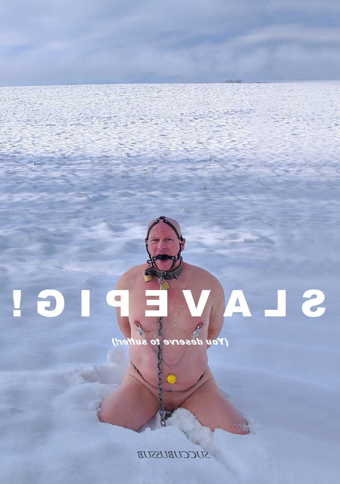  WINTER SNOW Outdoor SLAVE