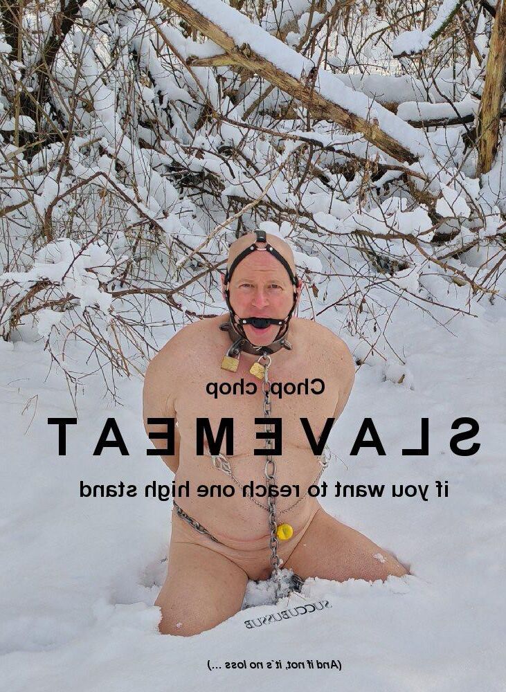  WINTER SNOW Outdoor SLAVE