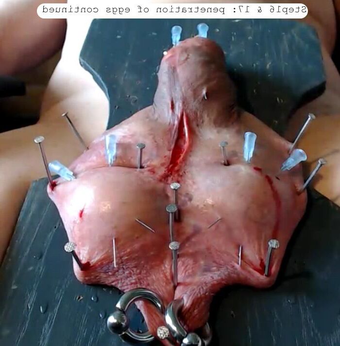 _Sepp me preenche