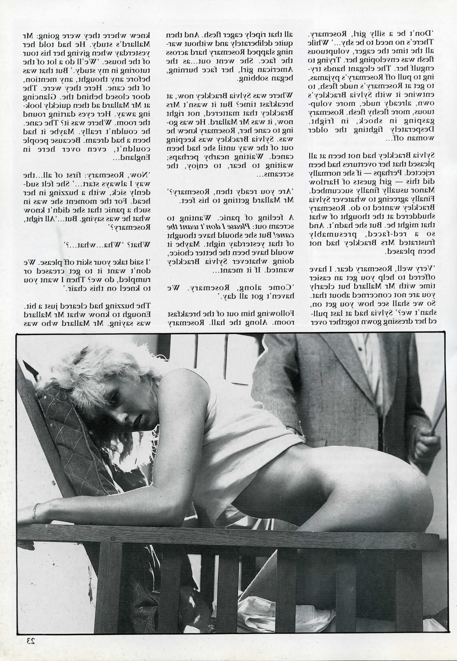 Retro Spanking Blushes Supplement issue complete