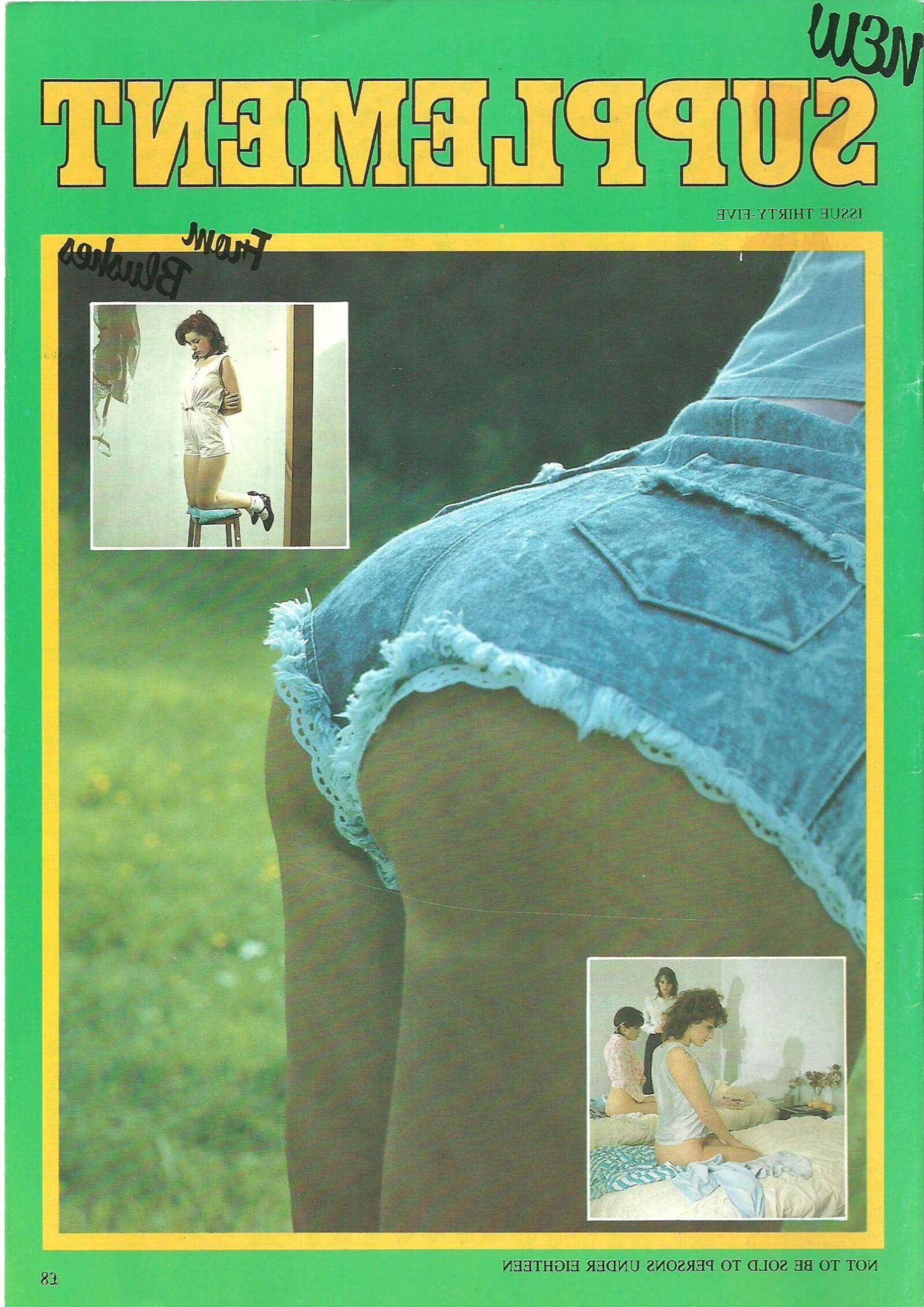 Spanking Blushes Supplement issue complete (last issue)
