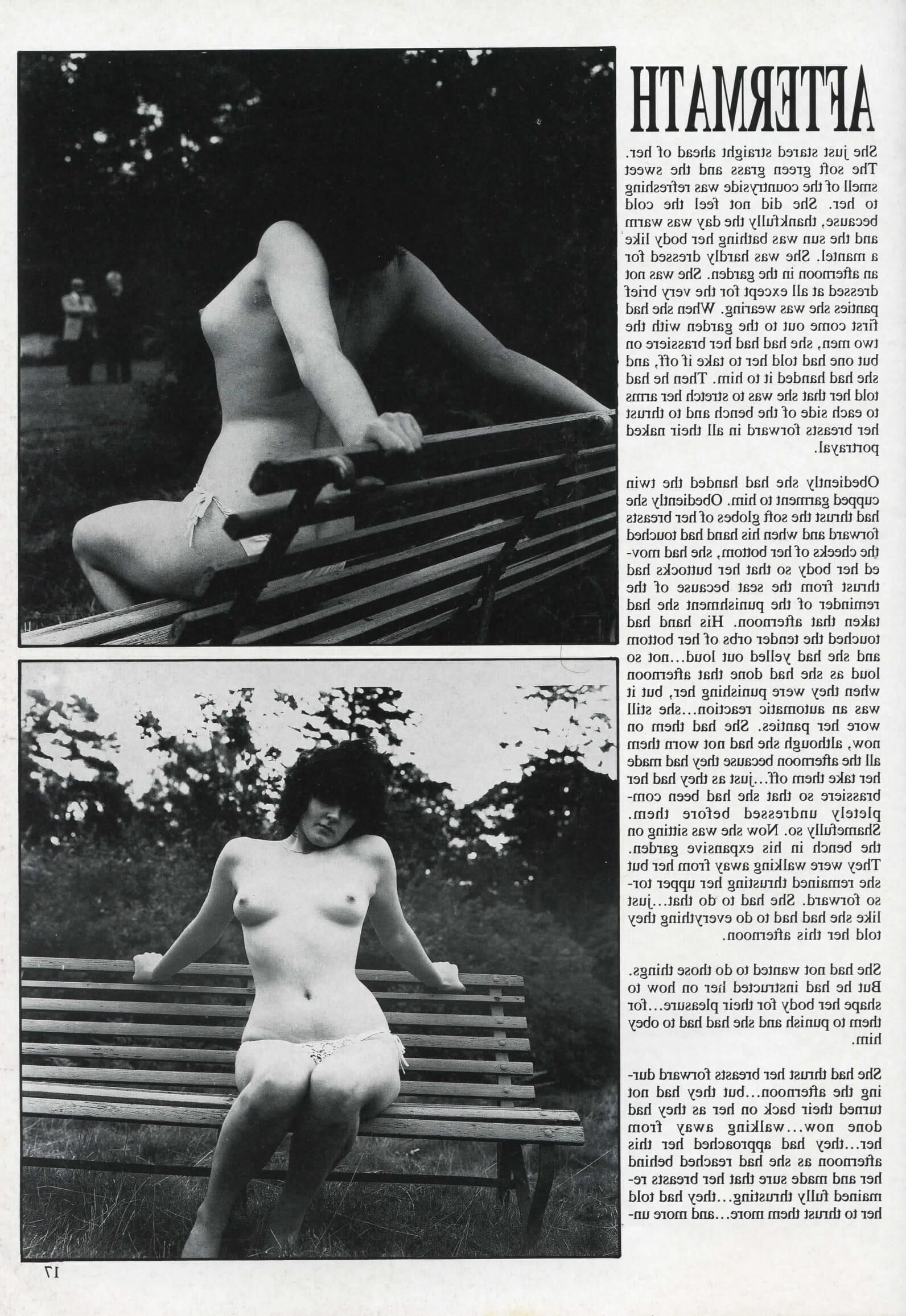 Retro Spanking Blushes Supplement issue complete
