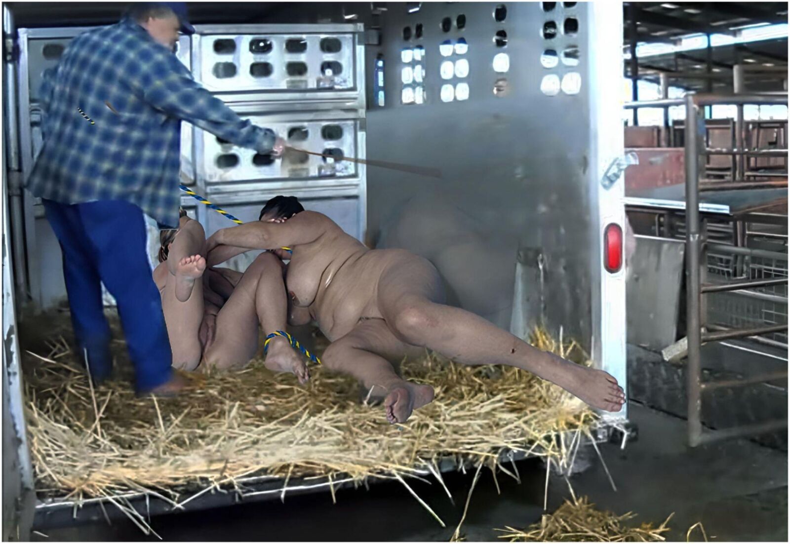Tiertransport Animal Transport III