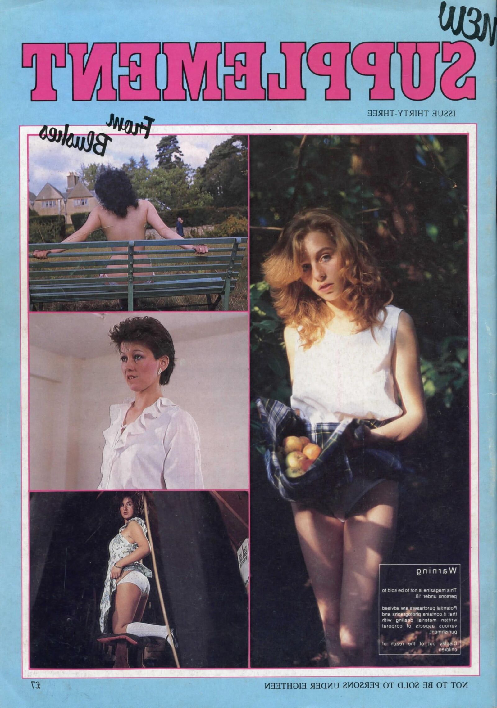 Retro Spanking Blushes Supplement issue complete