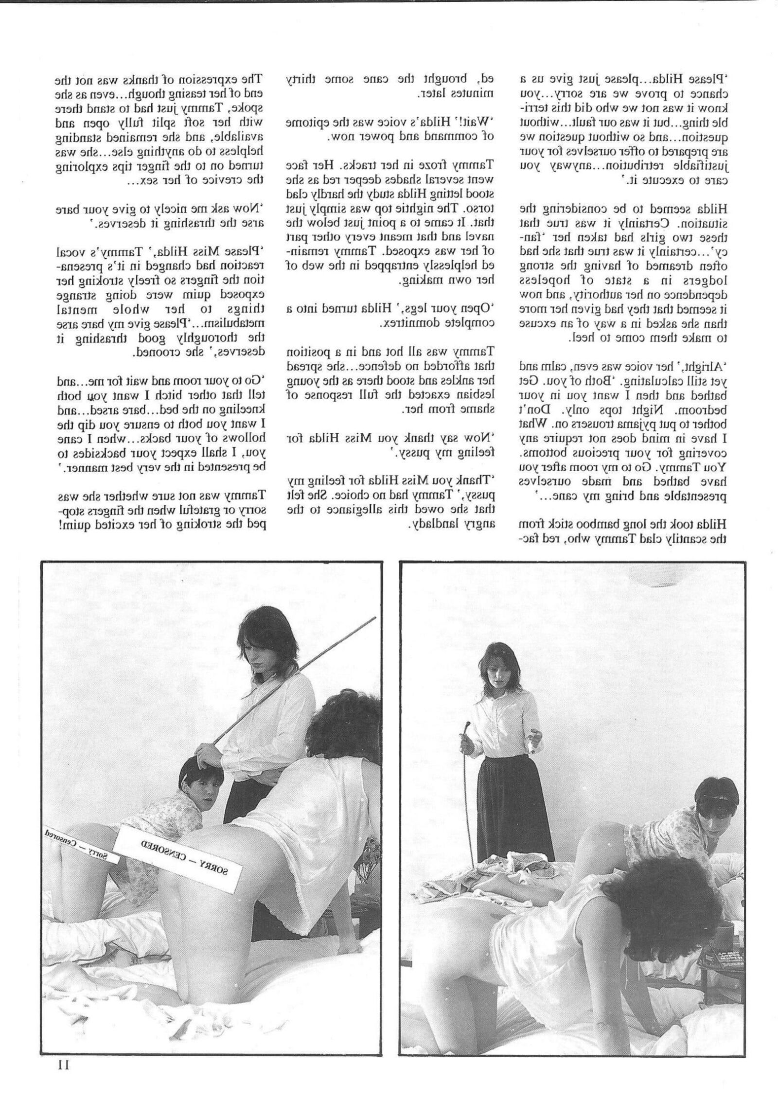 Spanking Blushes Supplement issue complete (last issue)