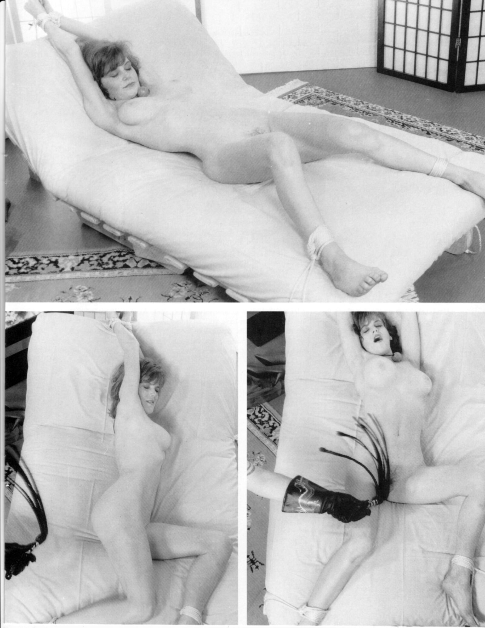 Винтажный рабство в журнале Bondage в баффе