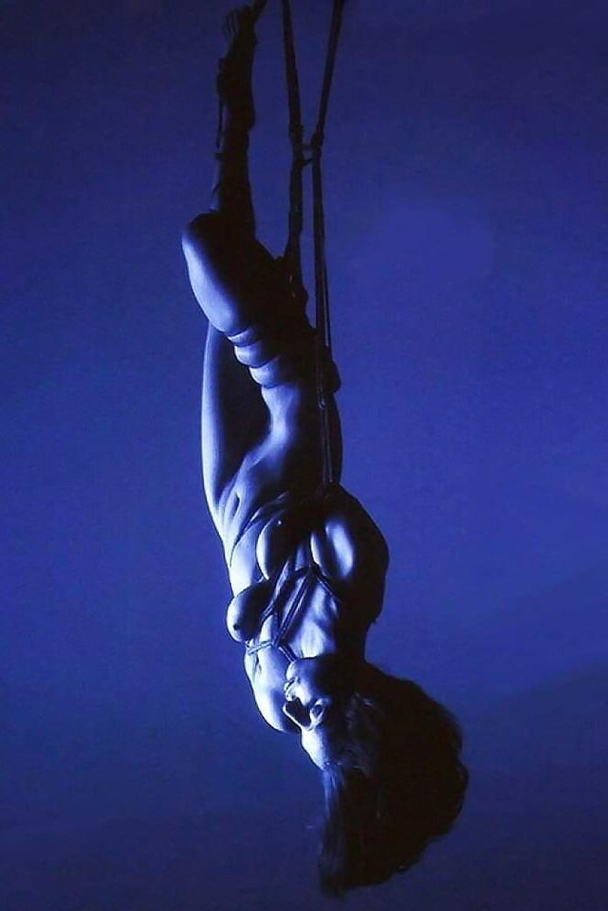 写真bdsm