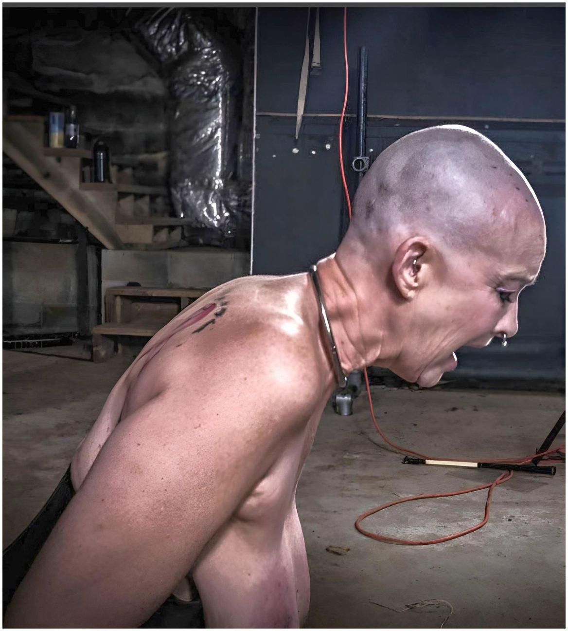 Als Nutzvieh gekennzeichnet Septum Ring II