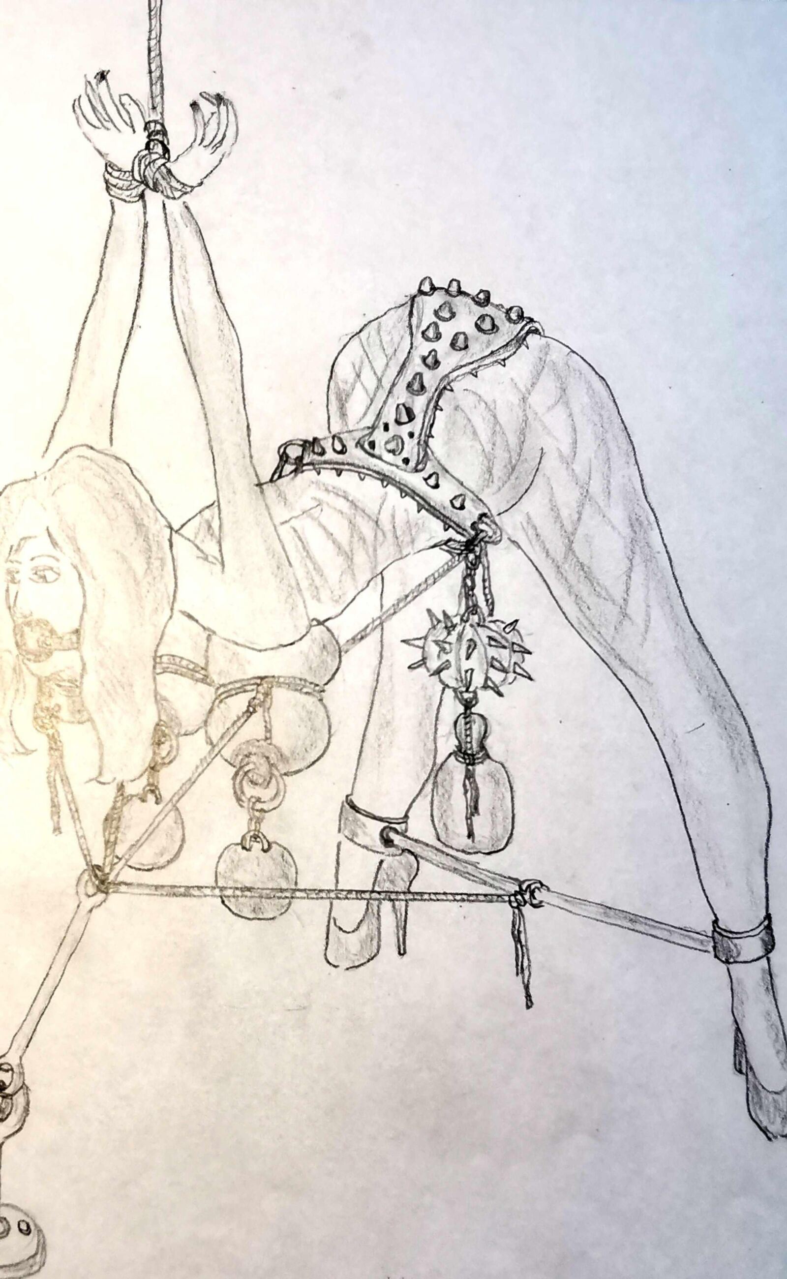 Petras Sadistische BDSM мультфильмы