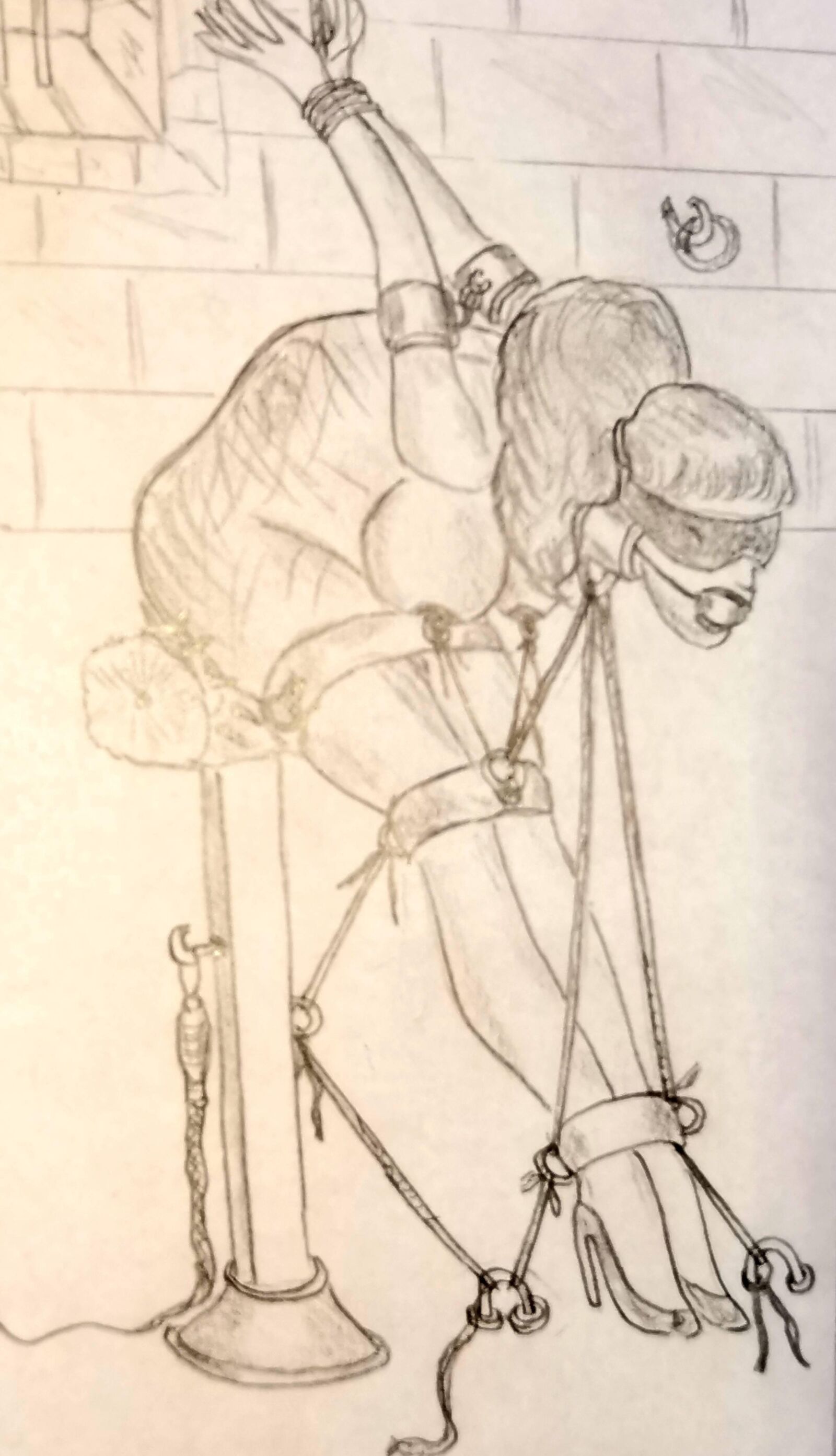 Petras Sadistische BDSM мультфильмы